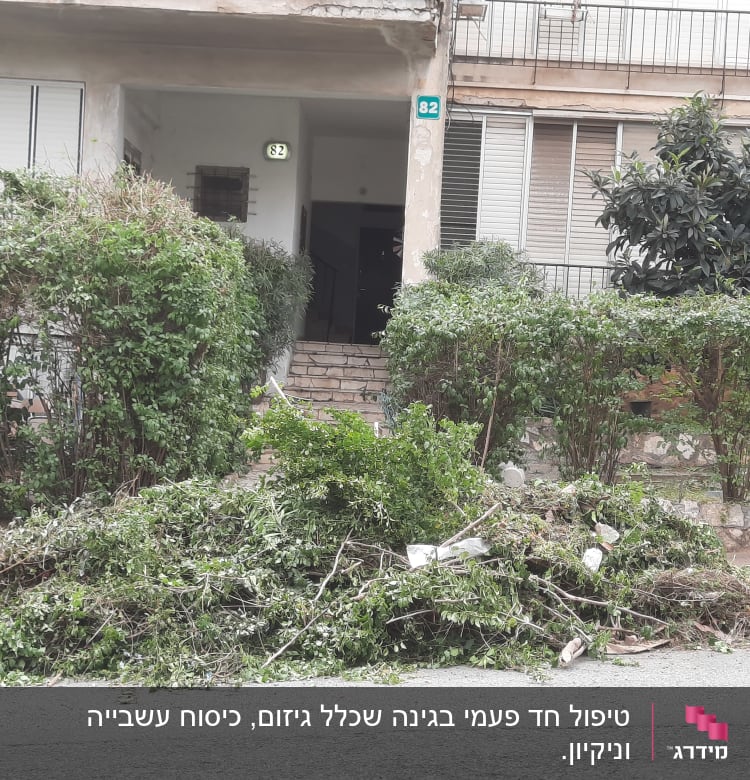 ערימת גזם על המדרכה ליד שיחים גזומים